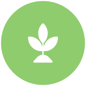 Equidev Services - Icon 6